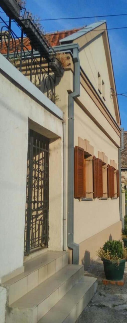 Gardos * Belgrade